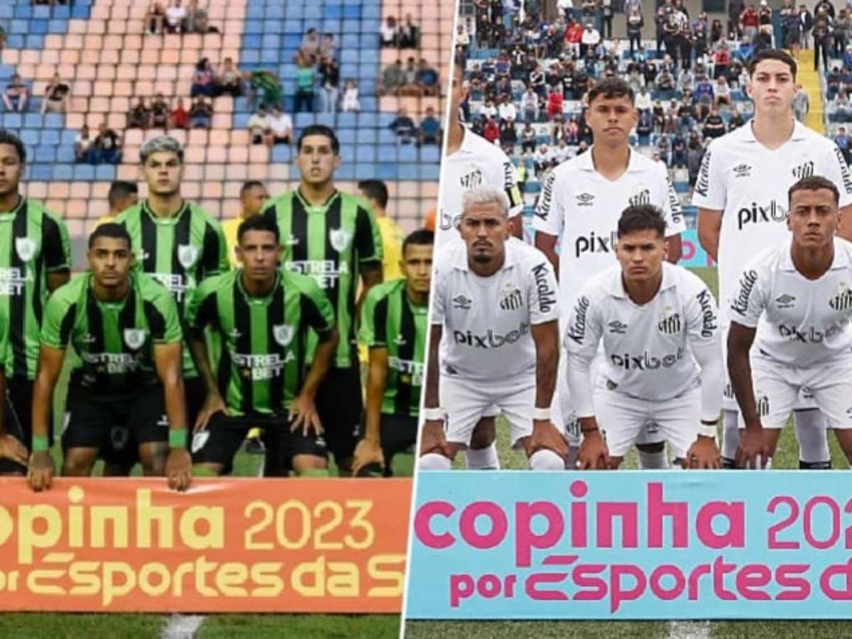 Semifinal da Copinha entre Palmeiras e Goiás terá entrada gratuita no  Allianz Parque