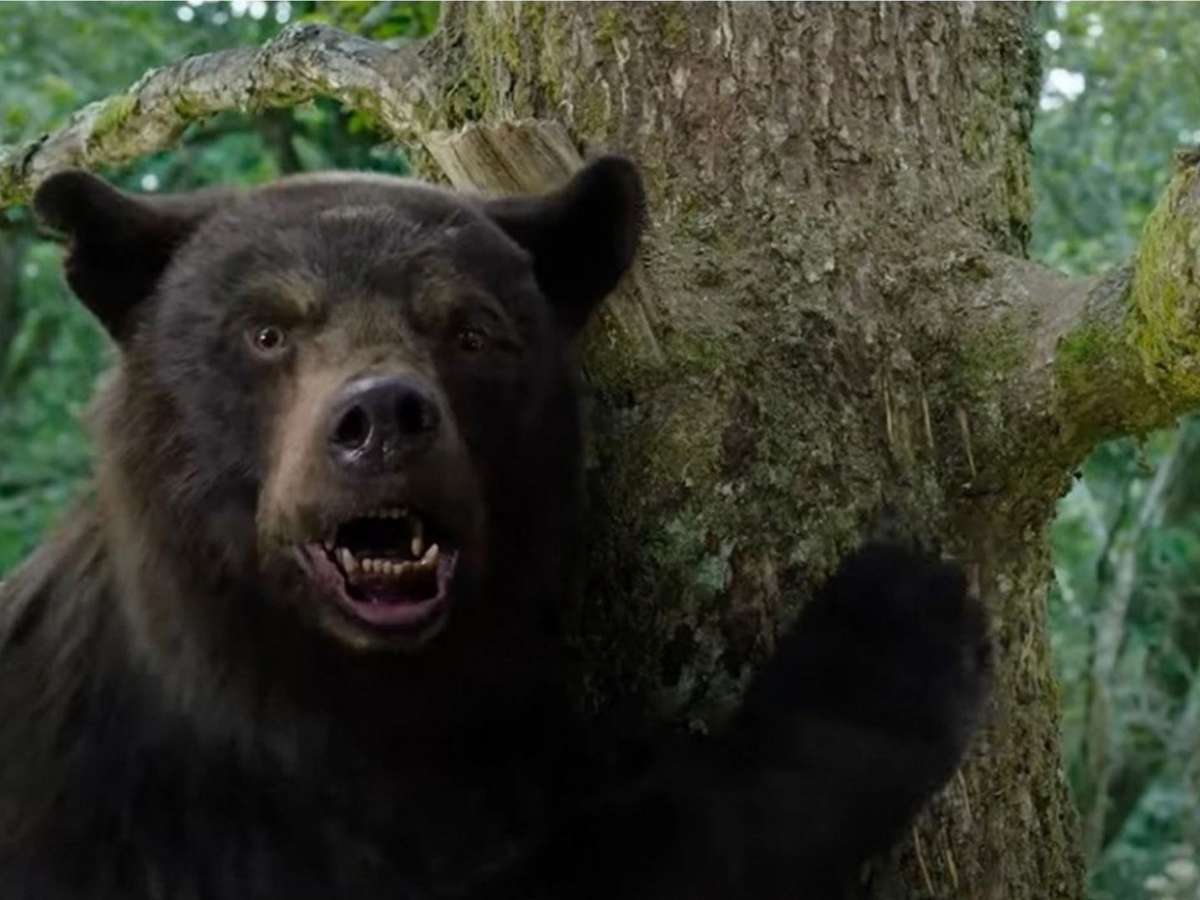 Grizzly, filme sobre urso gigante assassino, ganha trailer mas não