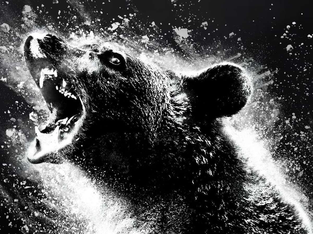 O filme do urso é uma história de brinquedo sobre um urso