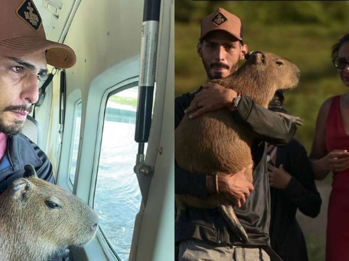 Capivara Filó é devolvida ao influenciador Agenor Tupinambá; veja