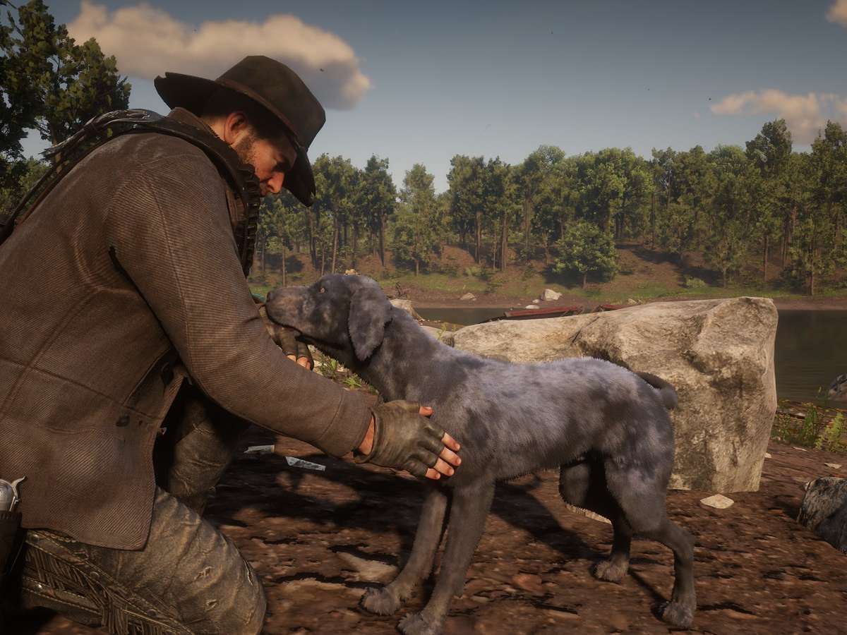 Cão que interpretou Cain em Red Dead Redemption 2 faleceu