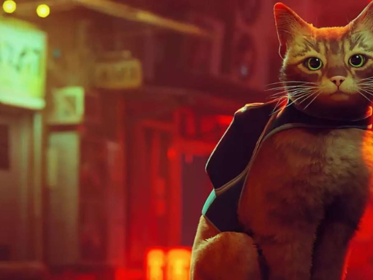 Stray: sucesso do jogo ajuda os gatos na vida real