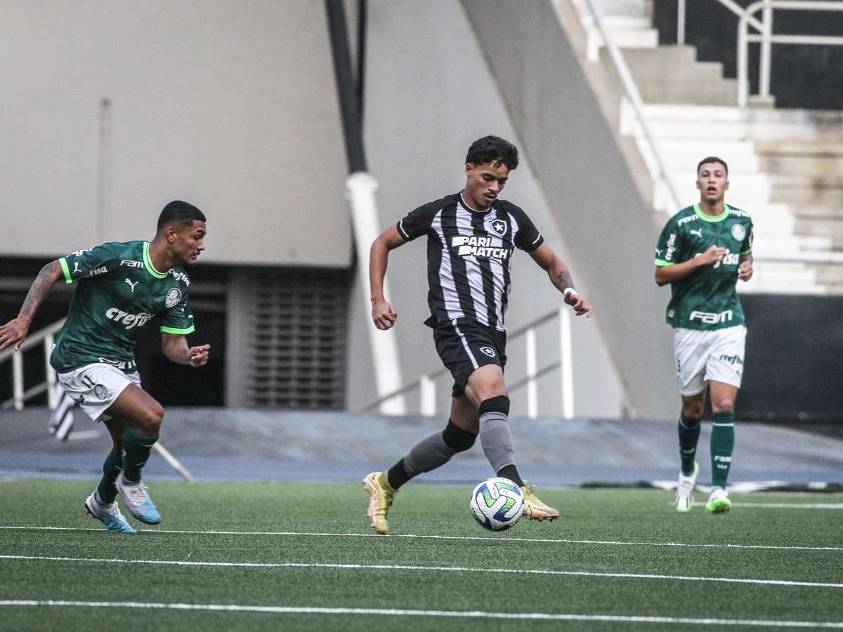 Com empate do Palmeiras, Botafogo nem precisa entrar em campo para