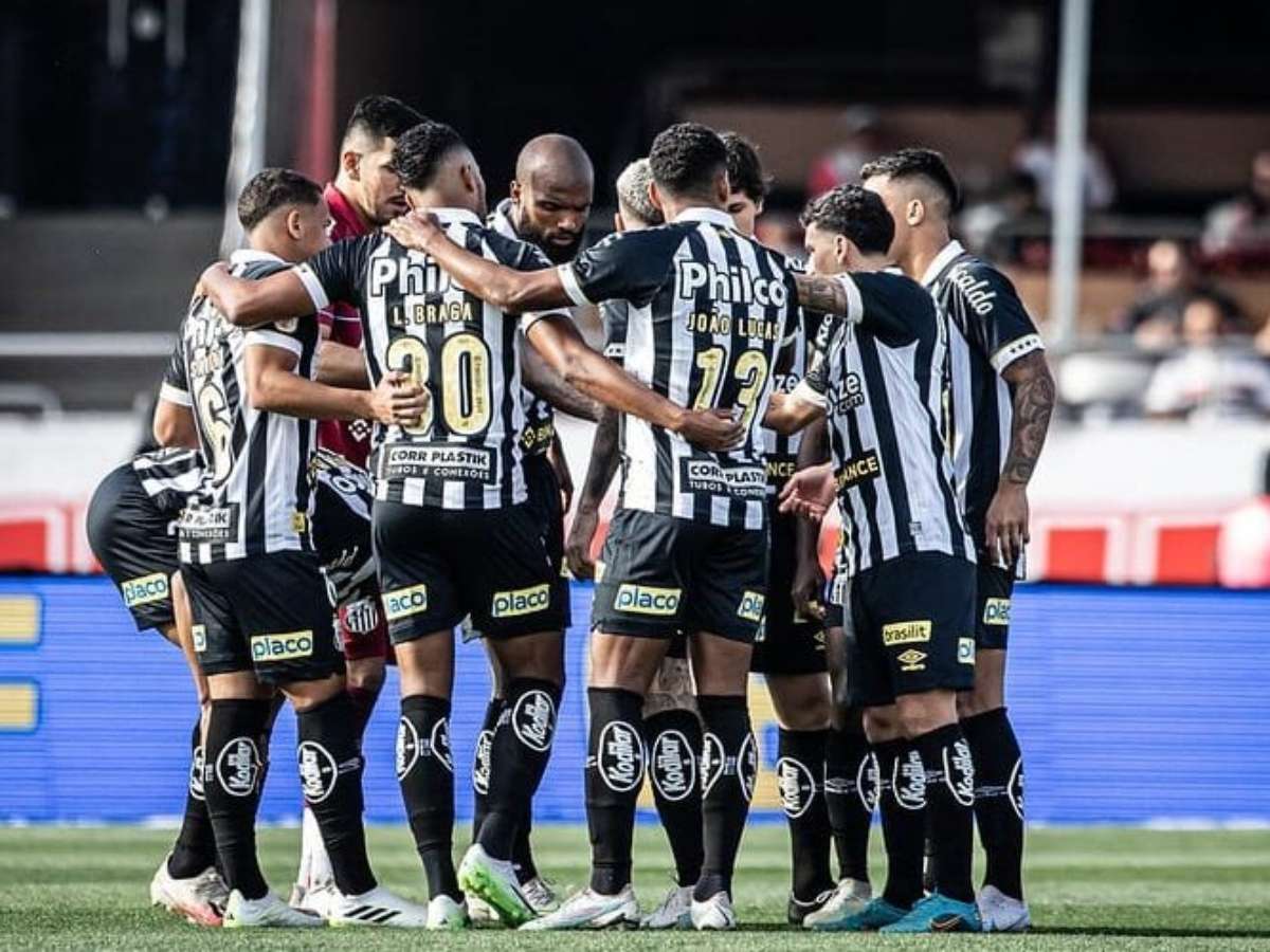 O líder disparou e entrega a taça! Confira os memes da vitória do Botafogo  sobre o Grêmio