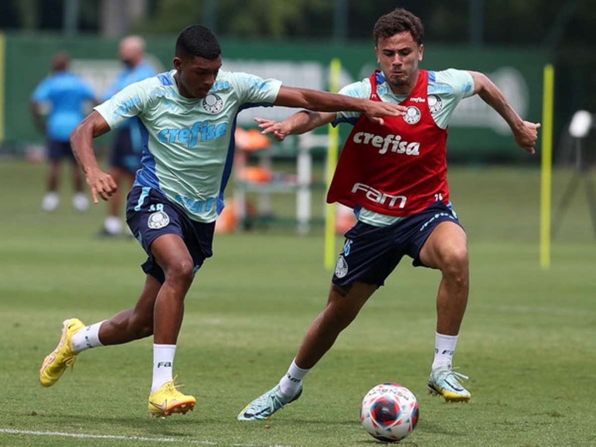 Jogador emprestado pelo Palmeiras negocia sua permanência