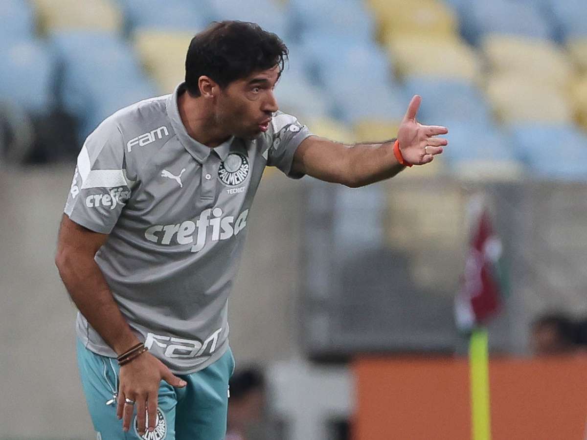 Veiga ressalta boa fase do Palmeiras para fazer sua