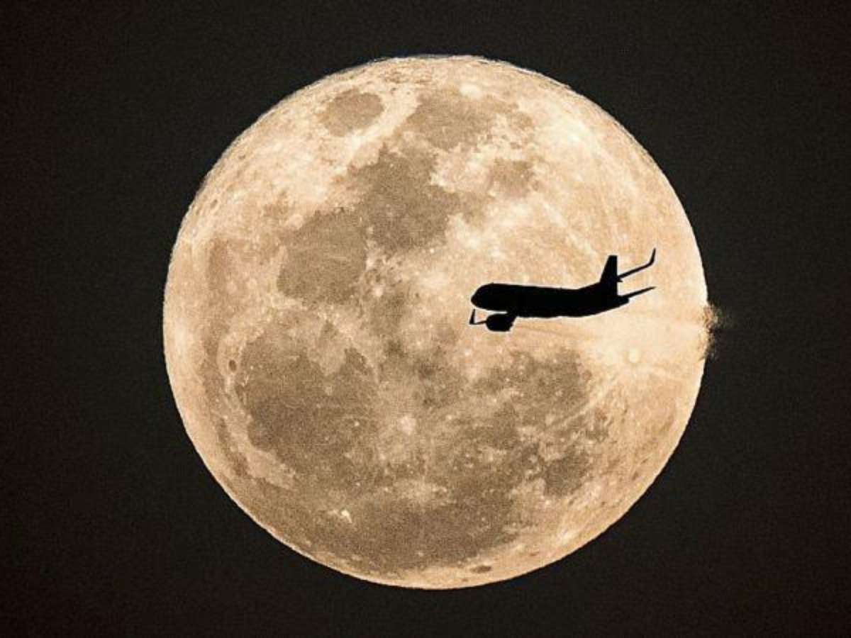 As imagens inéditas da noite da Super Lua Azul, o fenómeno que só volta em  2037 – Observador