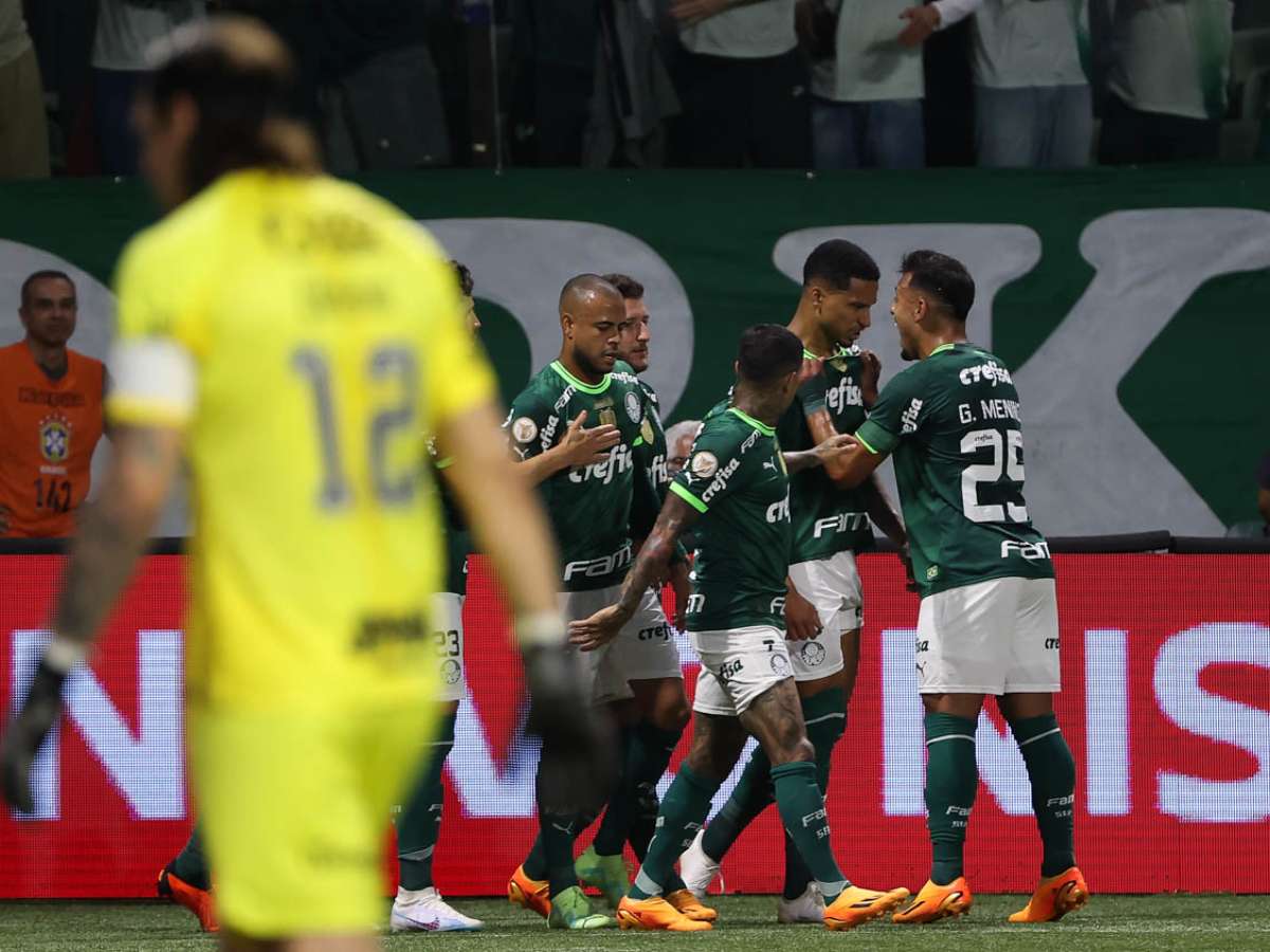 SE Palmeiras on X: AAAE, O MEU PALMEIRAS GANHOU! 🐷 Três clássicos e três  vitórias! Com gols de Raphael Veiga e Danilo, vencemos o Derby no Allianz  Parque e garantimos a liderança