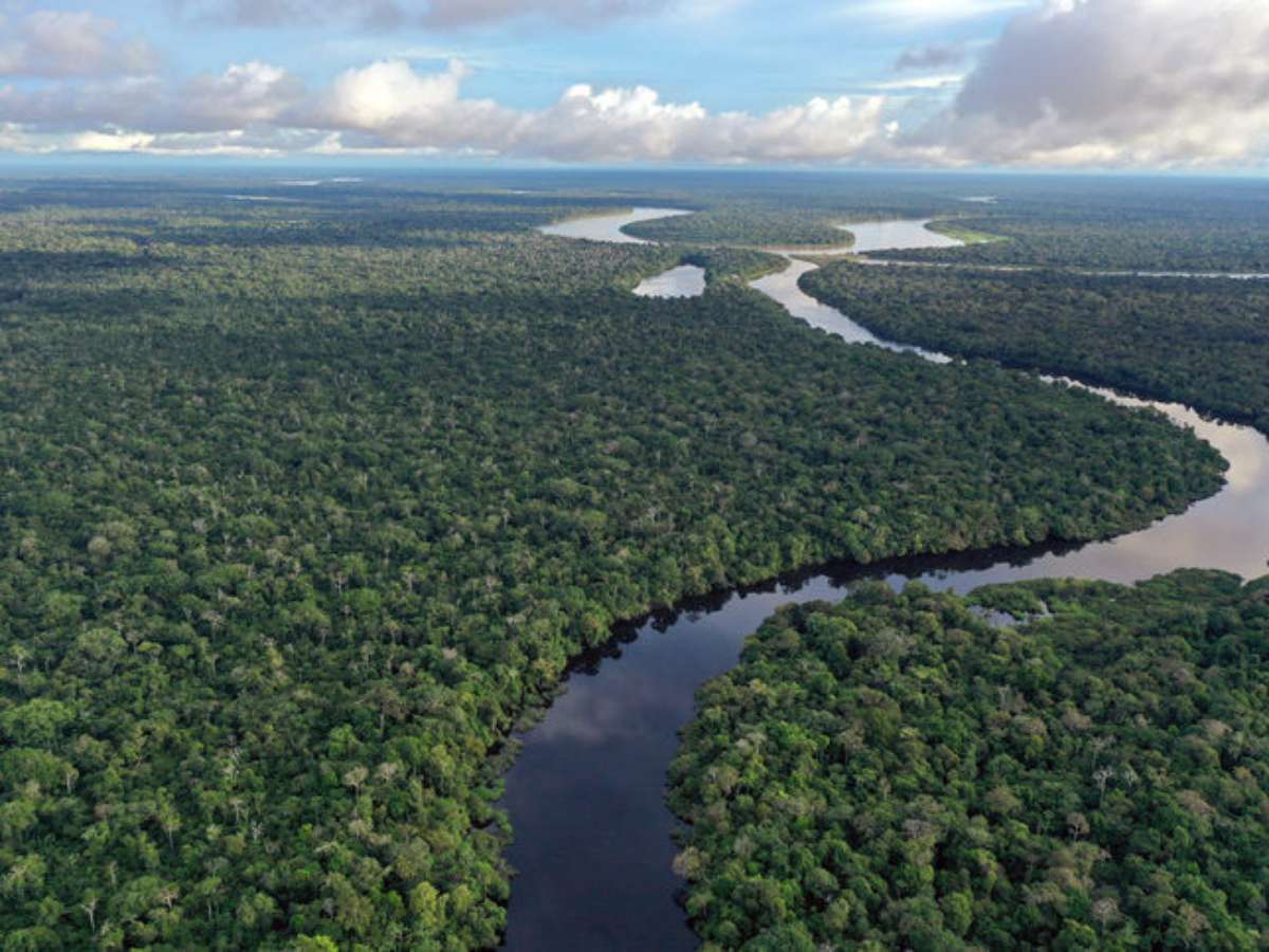 Sustentabilidade com o Google: ajudando a preservar a Amazônia e a