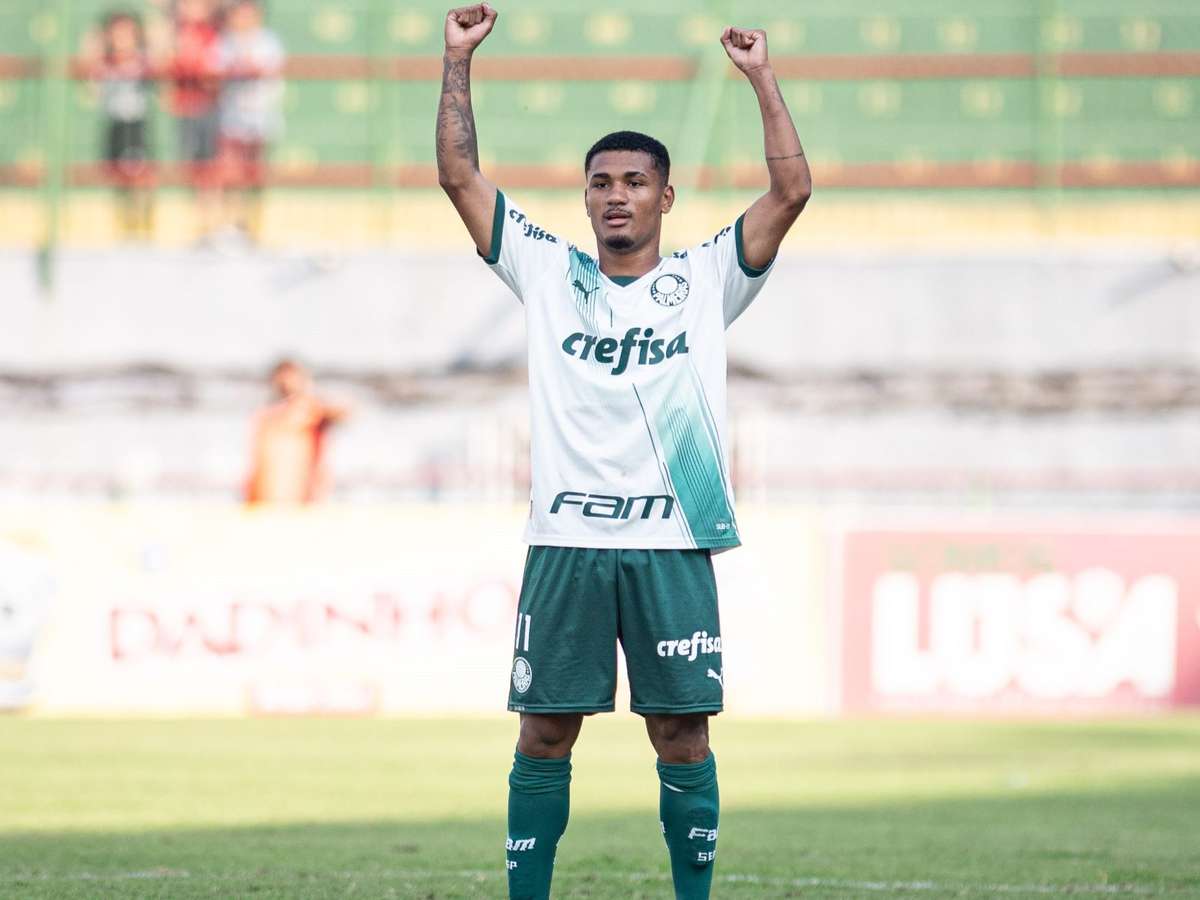 Sub-17 do Palmeiras é vice-campeão paulista – Palmeiras