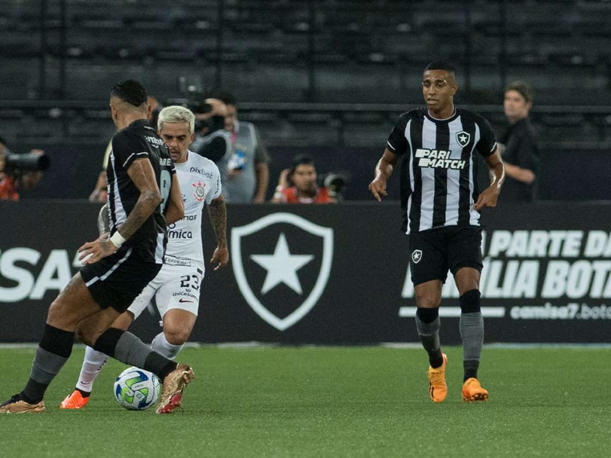 Botafogo x Grêmio: onde assistir ao vivo, horário e escalações do jogo pelo  Brasileirão