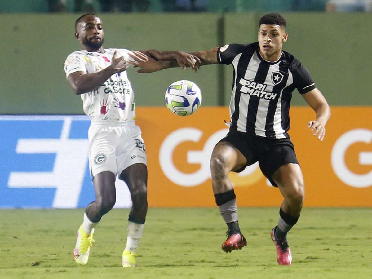 Botafogo x Goiás: onde assistir ao vivo, horário e escalações do jogo de  hoje pelo Brasileirão - Lance!