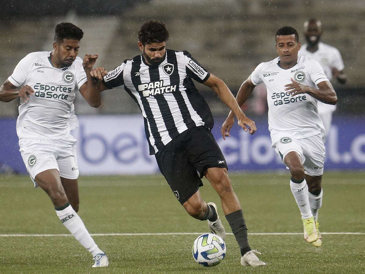 Contra o Goiás, Botafogo atingirá número histórico de público no Nilton  Santos em jogos pelo Brasileirão - Lance - R7 Futebol