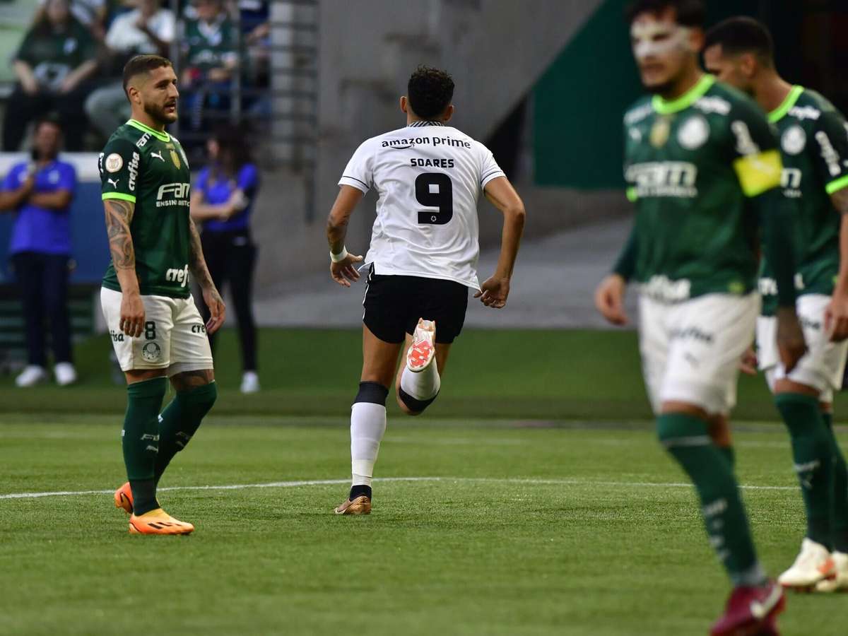 Acompanhe agora aqui o jogo entre Botafogo e Globo Futebol Clube