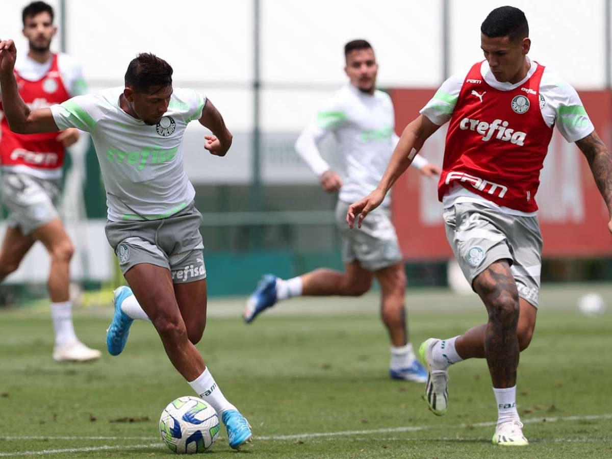 Mais de 30% dos jogadores do Palmeiras no Brasileirão são 'Crias da  Academia' - Fotos - R7 Campeonato Brasileiro Série A