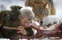 Freund, 79 anos, é um ex-paraquedista e criou o santuário de lobos em 1972