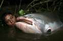 A espécie de peixe gigante pode chegar a até 3 metros de comprimento e pesar 300 quilos