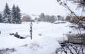 6 de janeiro - Carros amanheceram cobertos pela neve na cidade no norte do país
