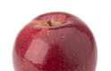 Uma das frutas preferidas das crianças e adolescentes, uma maçã vale duas porções da categoria fruta