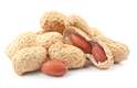 O amendoim (foto) e as nozes podem causar alergias e contaminação por fungos