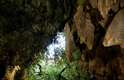 Cavernas de Waitomo
