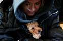 Dia 3/3 - Refugiada protege seu cão do frio durante viagem de trem para tentar fugir da Ucrânia em guerra