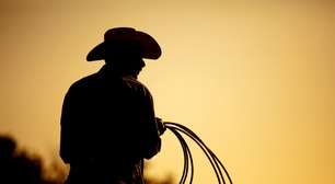 Apostas em vaquejada: como e onde fazer seus palpites