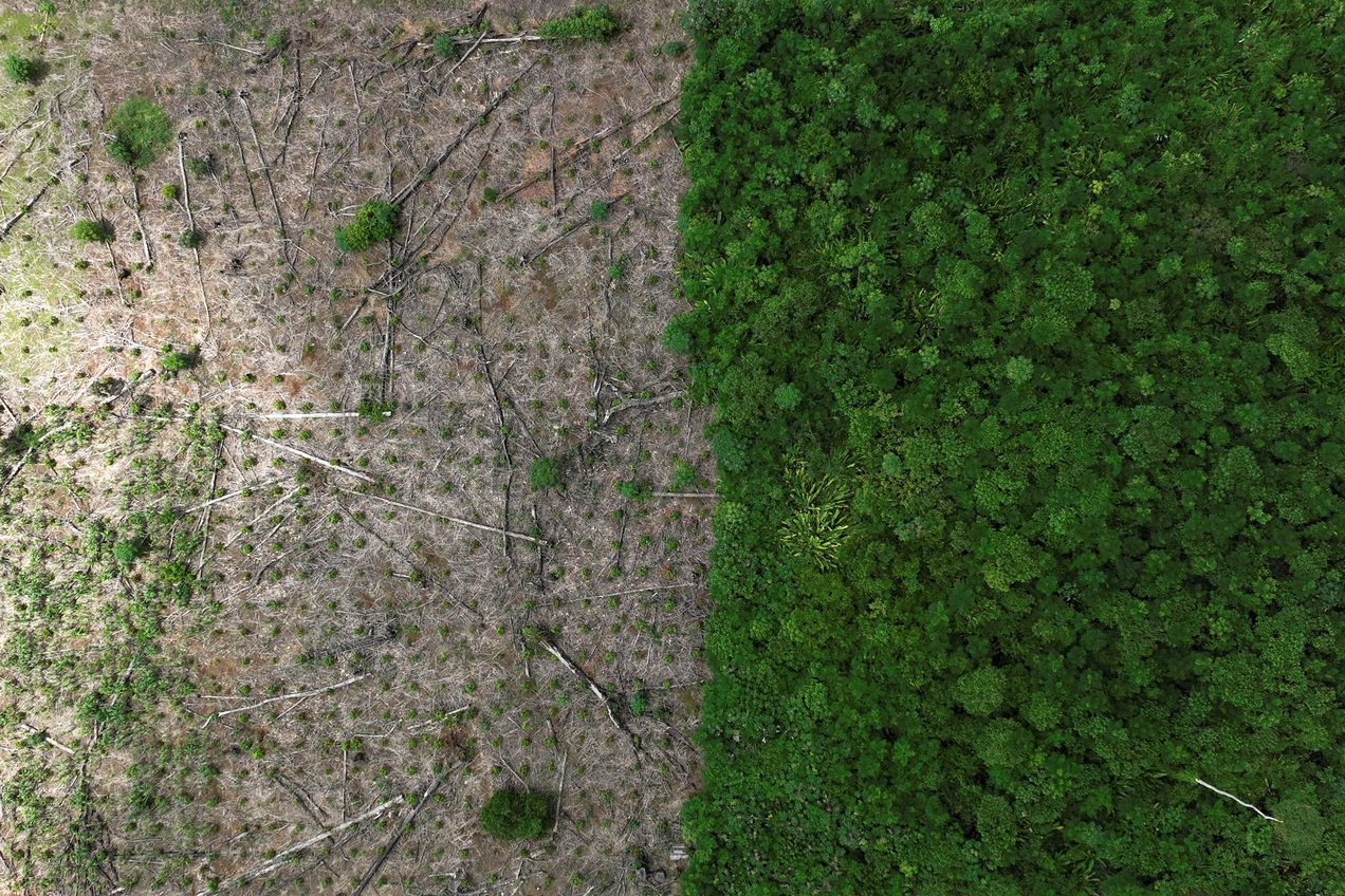 Área desmatada da floresta amazônica perto de Uruará, no Pará