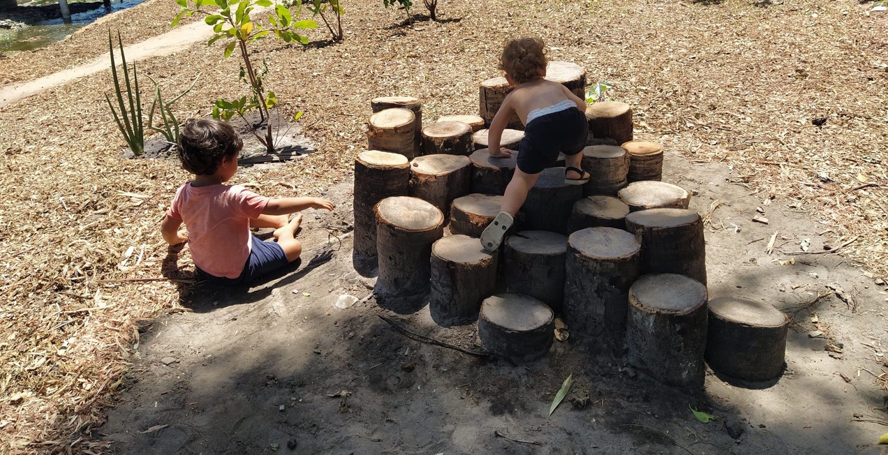 O brinquedo mais legal é a natureza, que ajuda a diminuir o tempo de uso de telas e combater a inatividade - Parque Naturalizado Seu Zequinha, microparque urbano em Fortaleza