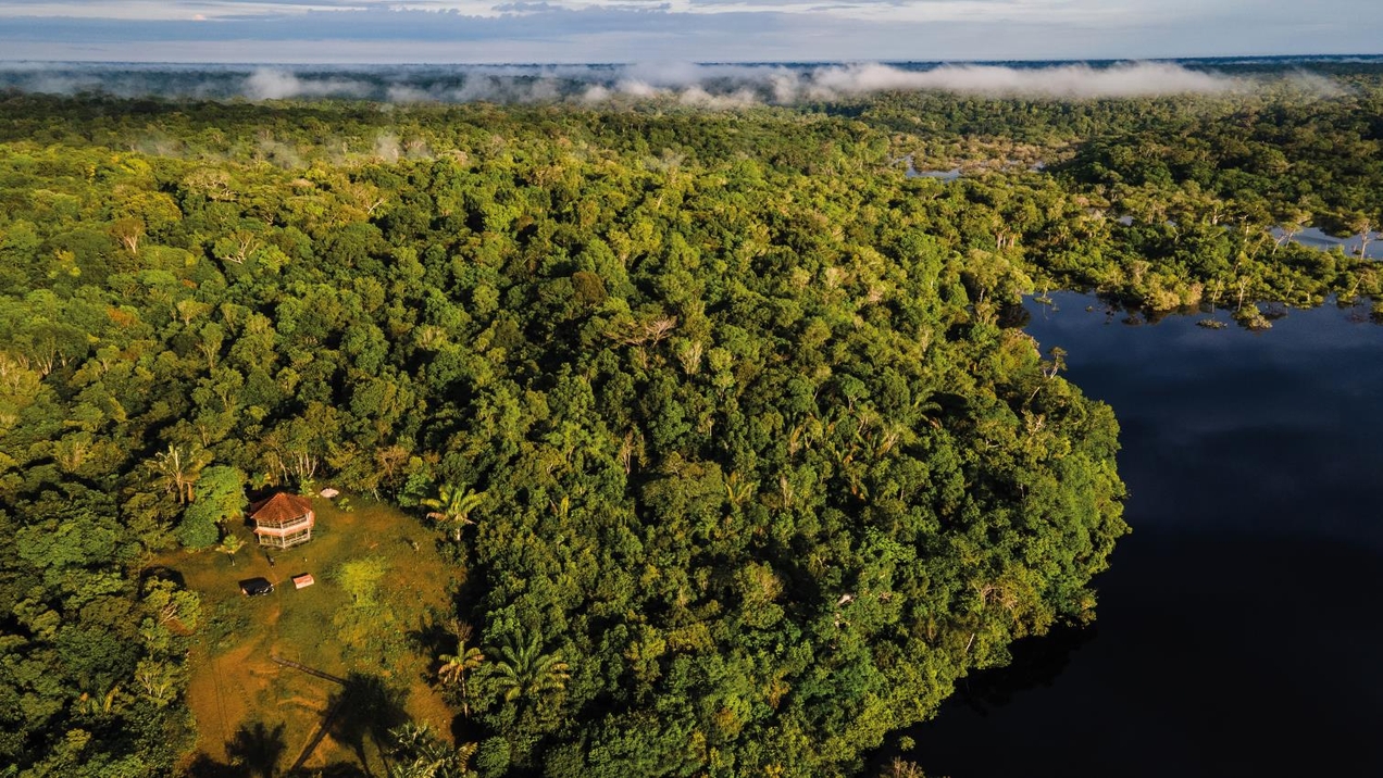 Amazônia