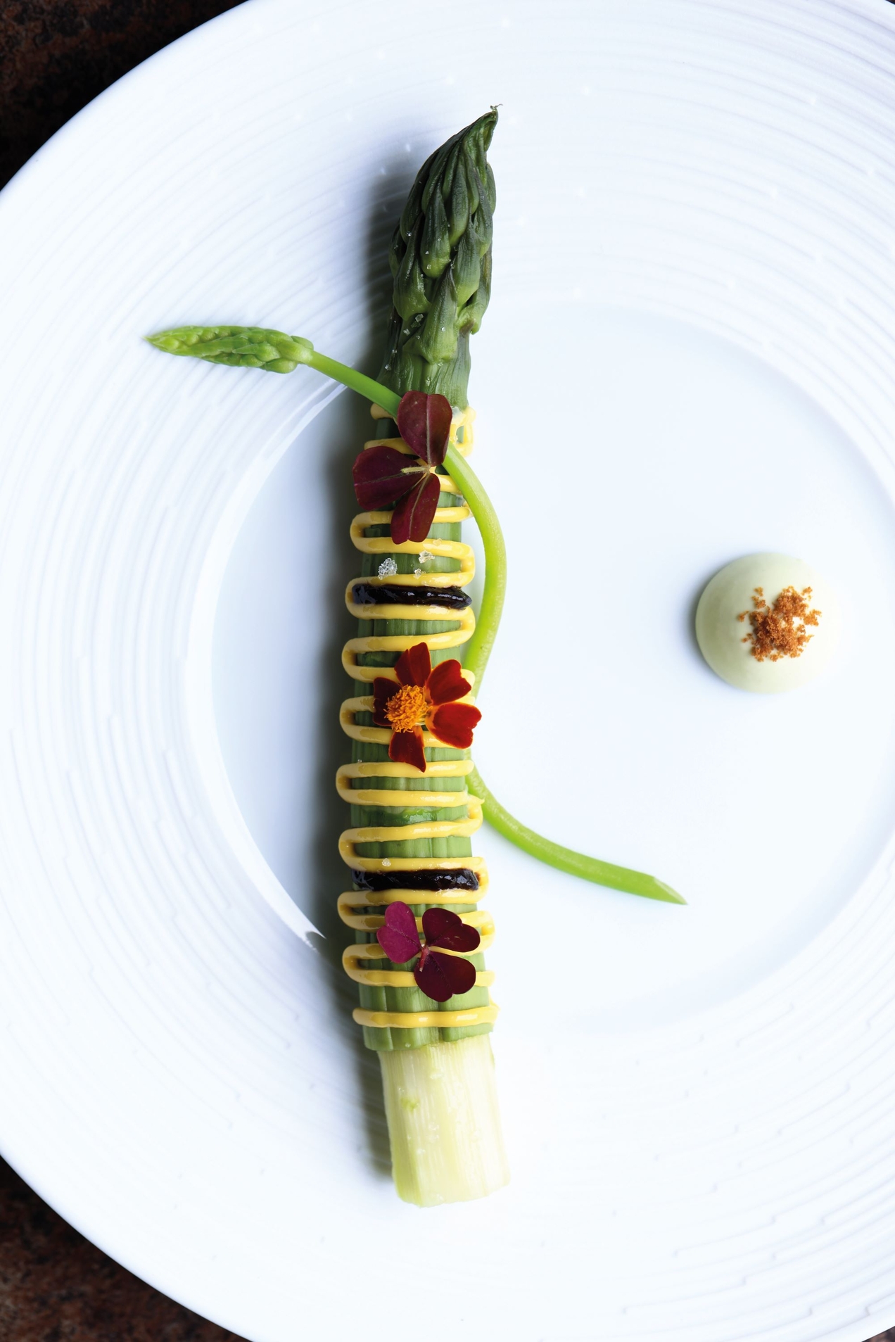 Aspargo, creme de bottarga, alho negro e mascarpone de aspargos: prato da chef Alessandra Montagne