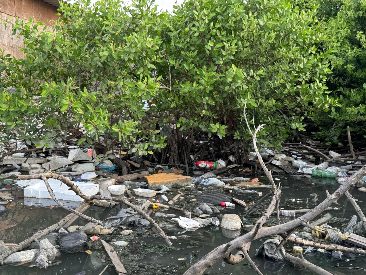 Rio dos Bugres virou um "depósito" de lixo e biólogo alerta para impactos ambientais
