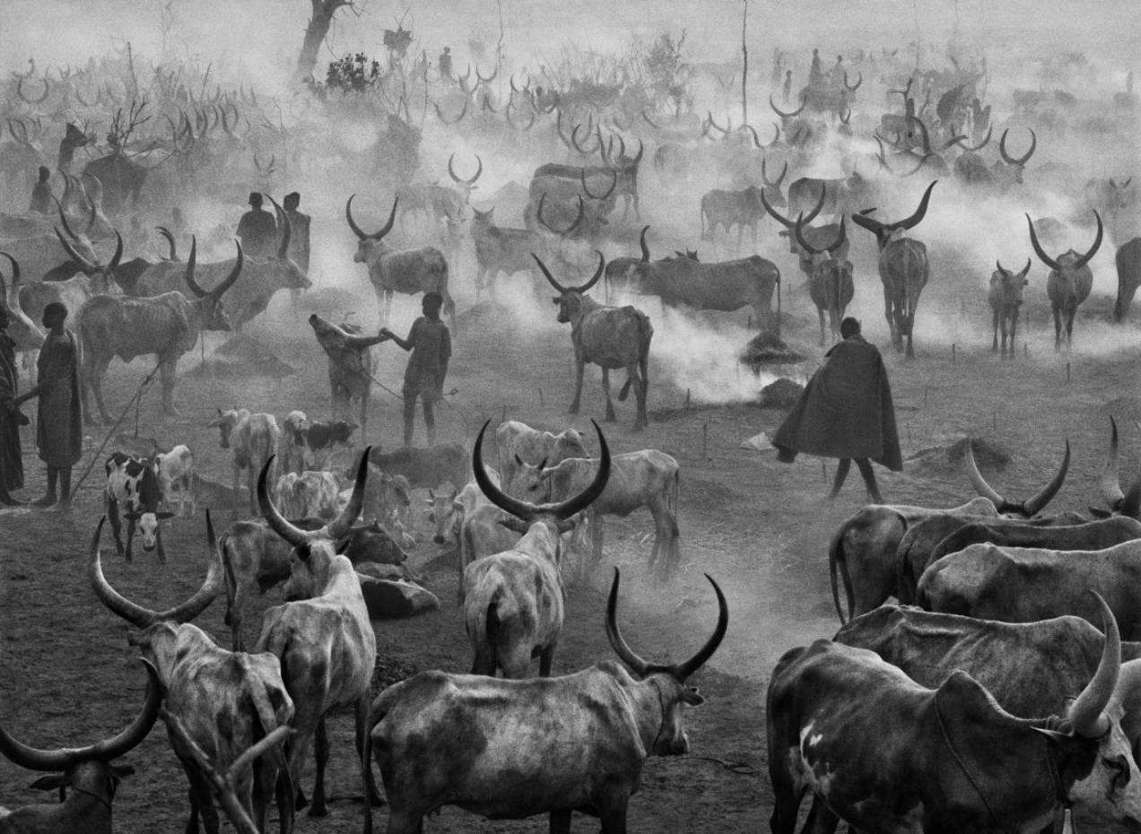 Acampamento de gado em Amak, Sul do Sud&atilde;o, 2006