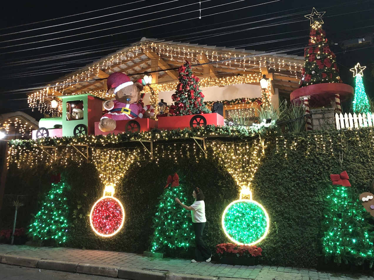 A comerciante Vera L&uacute;cia Mendon&ccedil;a dos Santos, 70 anos, &eacute; apaixonada pelo Natal