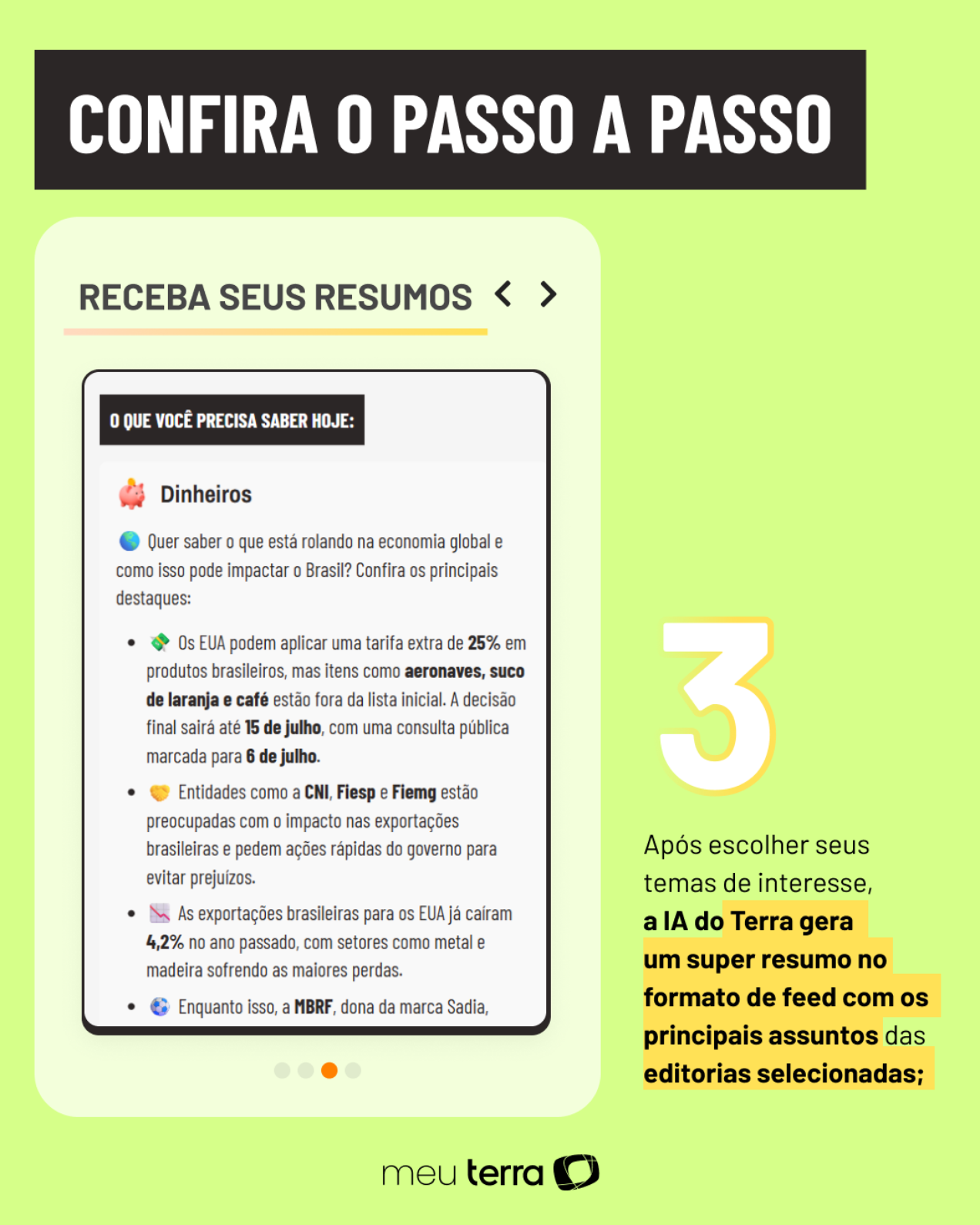 Passo a passo de como acessar o Meu Terra
