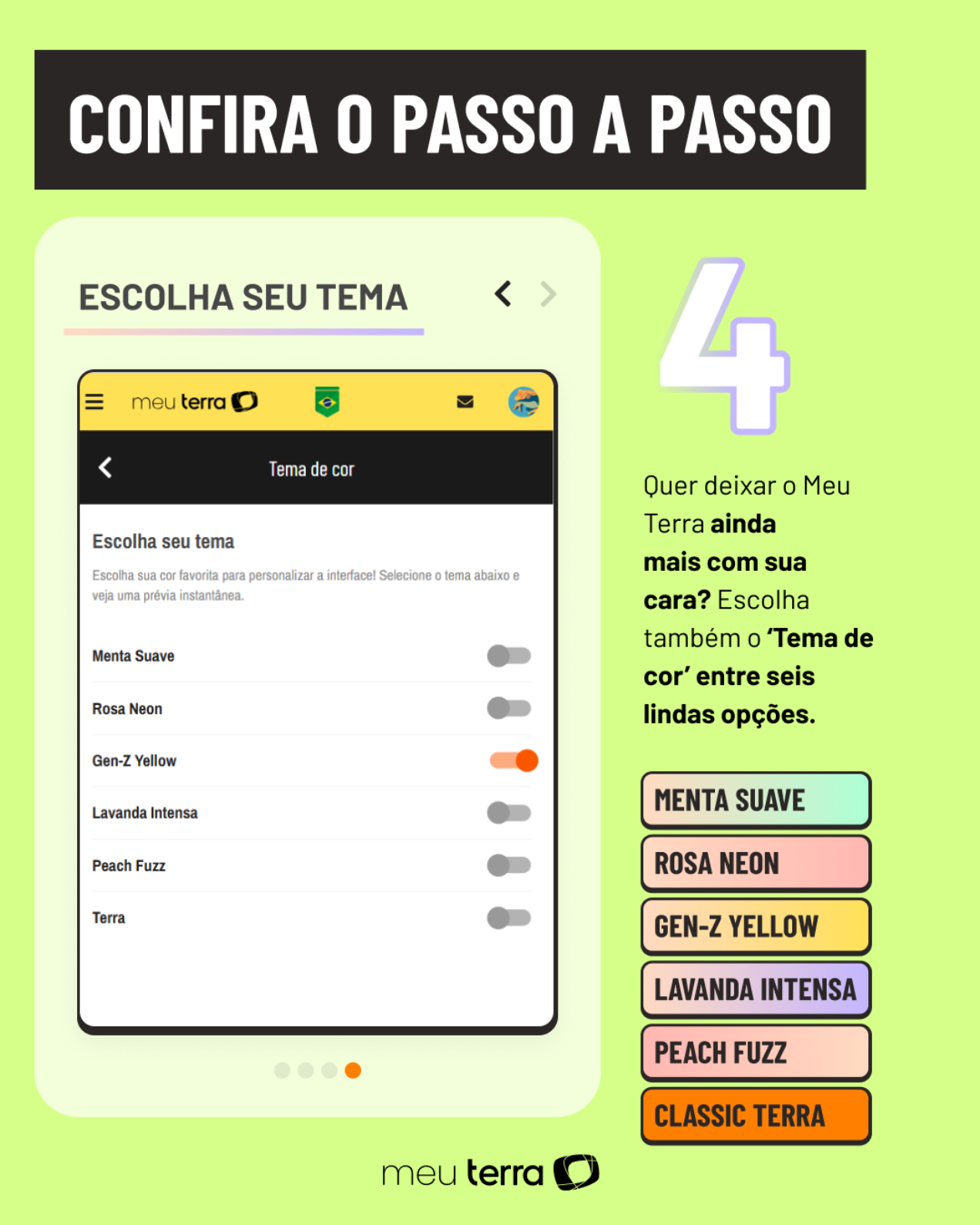 Passo a passo de como acessar o Meu Terra