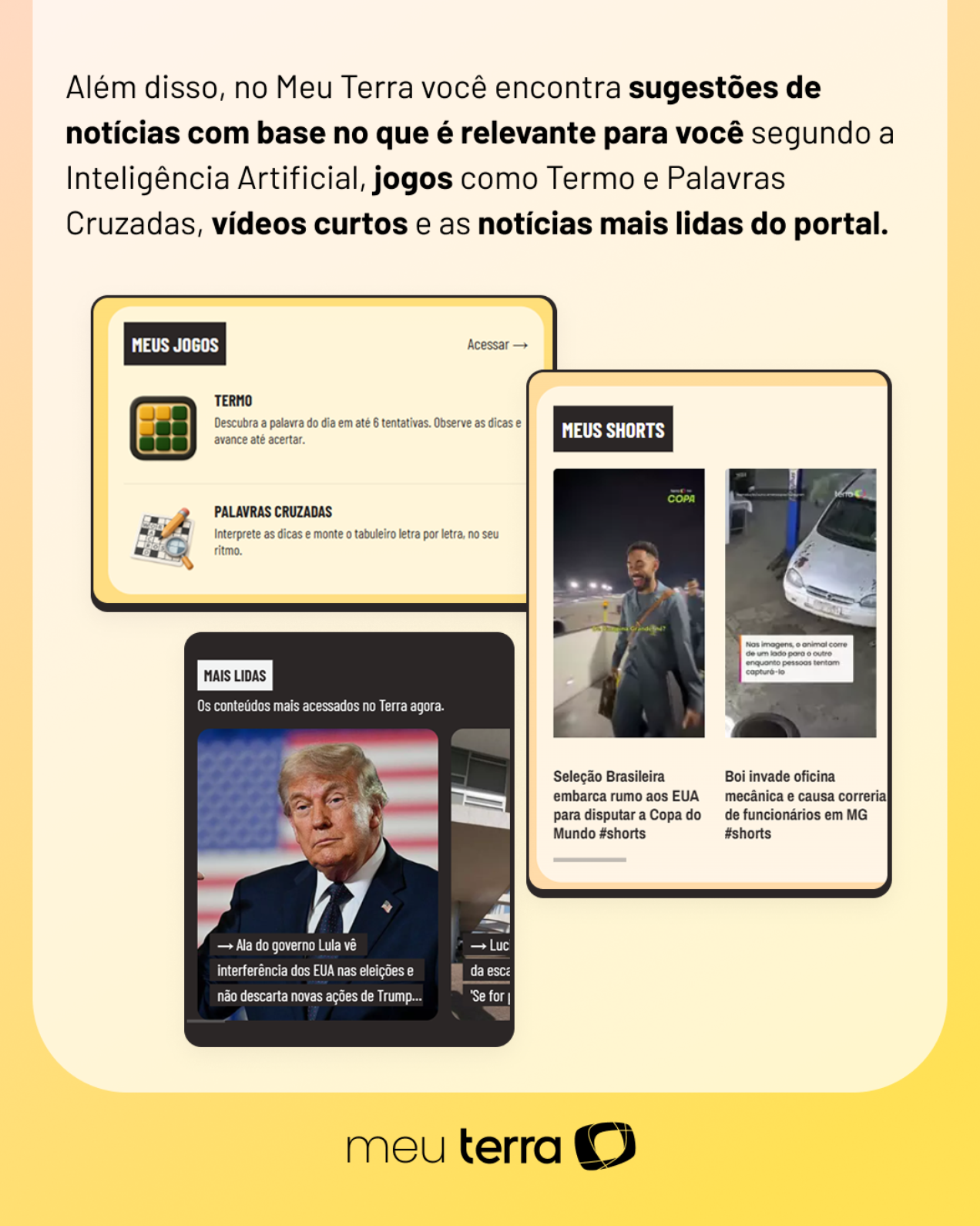 Passo a passo de como acessar o Meu Terra