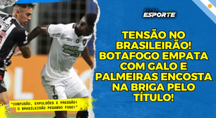 Empate do Botafogo deixa Brasileirão aberto na reta final