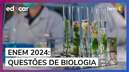 Professores corrigem questões de Biologia do Enem 2024