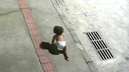 Vídeo mostra bebê engatinhando sozinha no meio da rua; mãe é presa