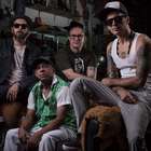 As dicas divertidas sobre os melhores shows do fim de semana