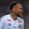 Torcedor é suspenso de estádio após tirar foto com Neymar