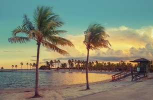 De praia a compras: curta Miami em cinco dias