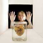 O coração da mulher e do homem são diferentes? Confira ...