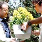 'Sangue Bom': em paz com Bento, Wilson aceita o perdão ...