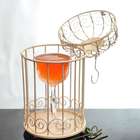 Campeonato de coquetelaria tem mulher como campeã; veja ...