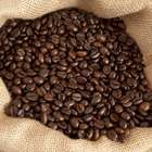 Agropecuária movimenta transações entre Brasil e Rússia