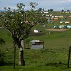 Exército isola vila onde Mandela será enterrado no domingo