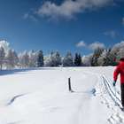 Veja quais são as estações e quanto custa esquiar na Europa