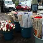 Vendedores reclamam da baixa procura por flores em Santa ...